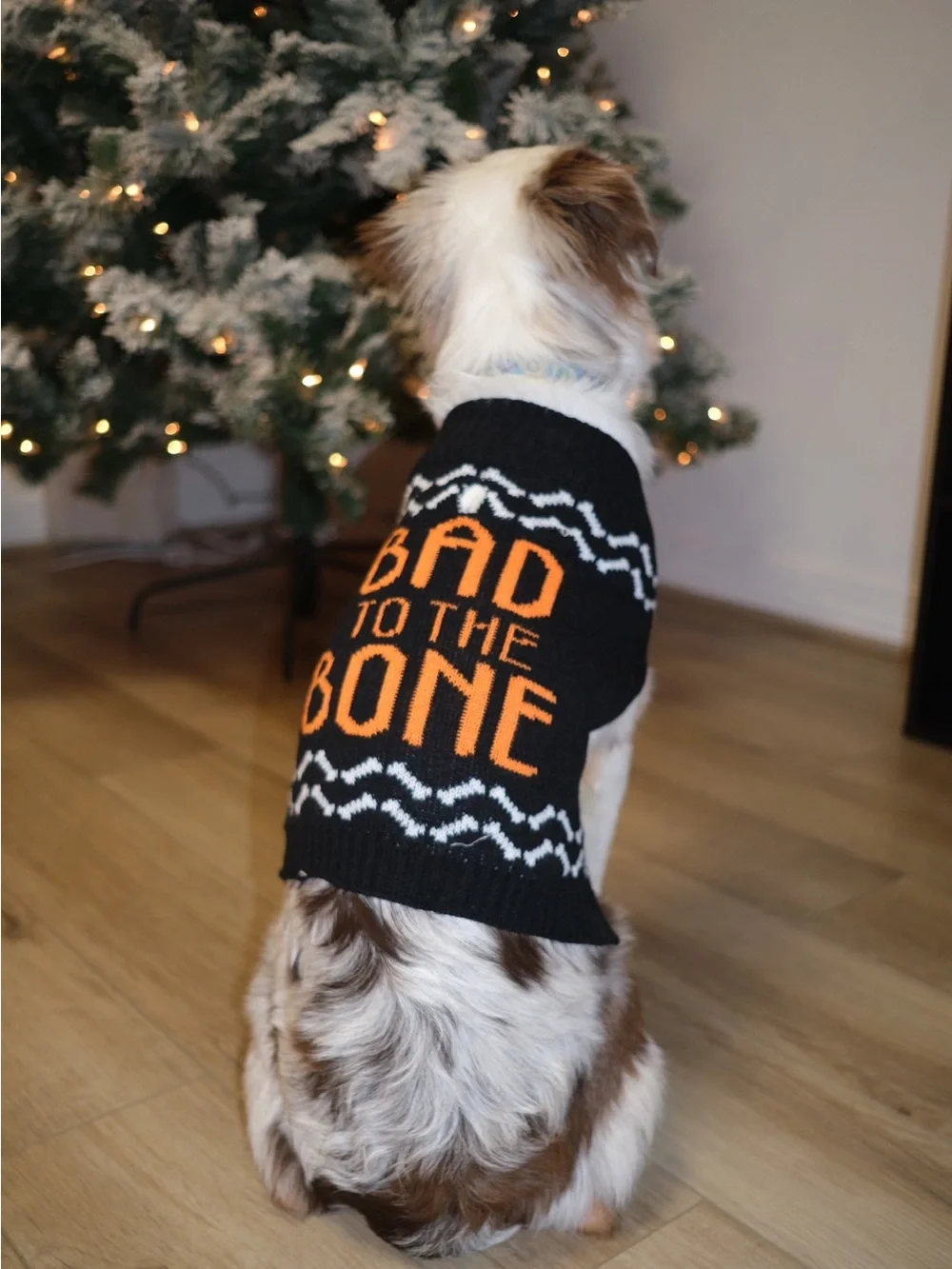Black & Orange 'Bad to the Bone' Knit Dog Sweater